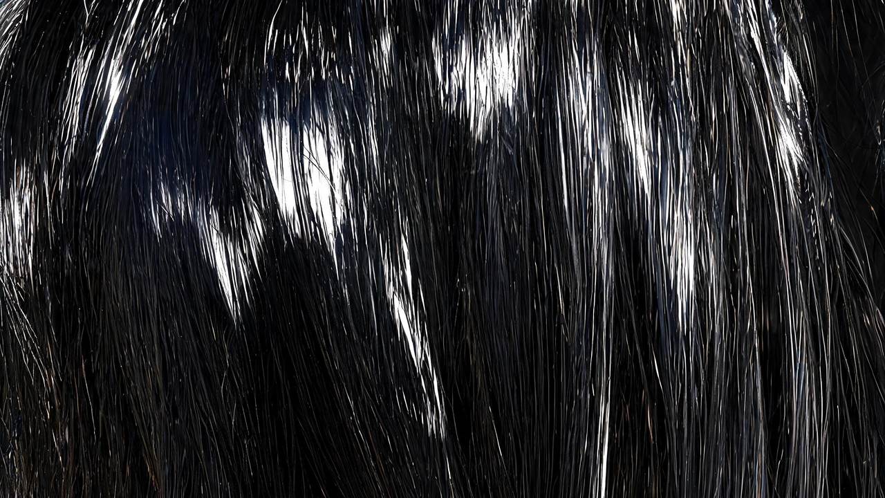 Extremely glossy, mirror-like sleek dark hair in studio lighting
